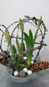 Amaryllis planter with mossy branches